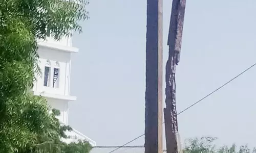 எலும்புக்கூடாக காட்சியளிக்கும் மின்கம்பம்