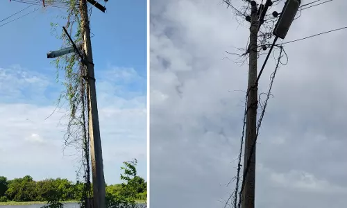 சரிசெய்யப்பட்டது