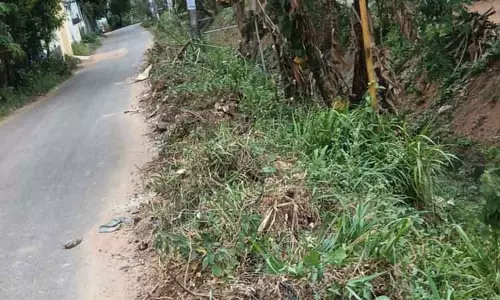 சுகாதார சீர்கேடு