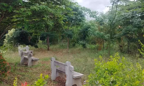 புதர் மண்டி பூங்கா