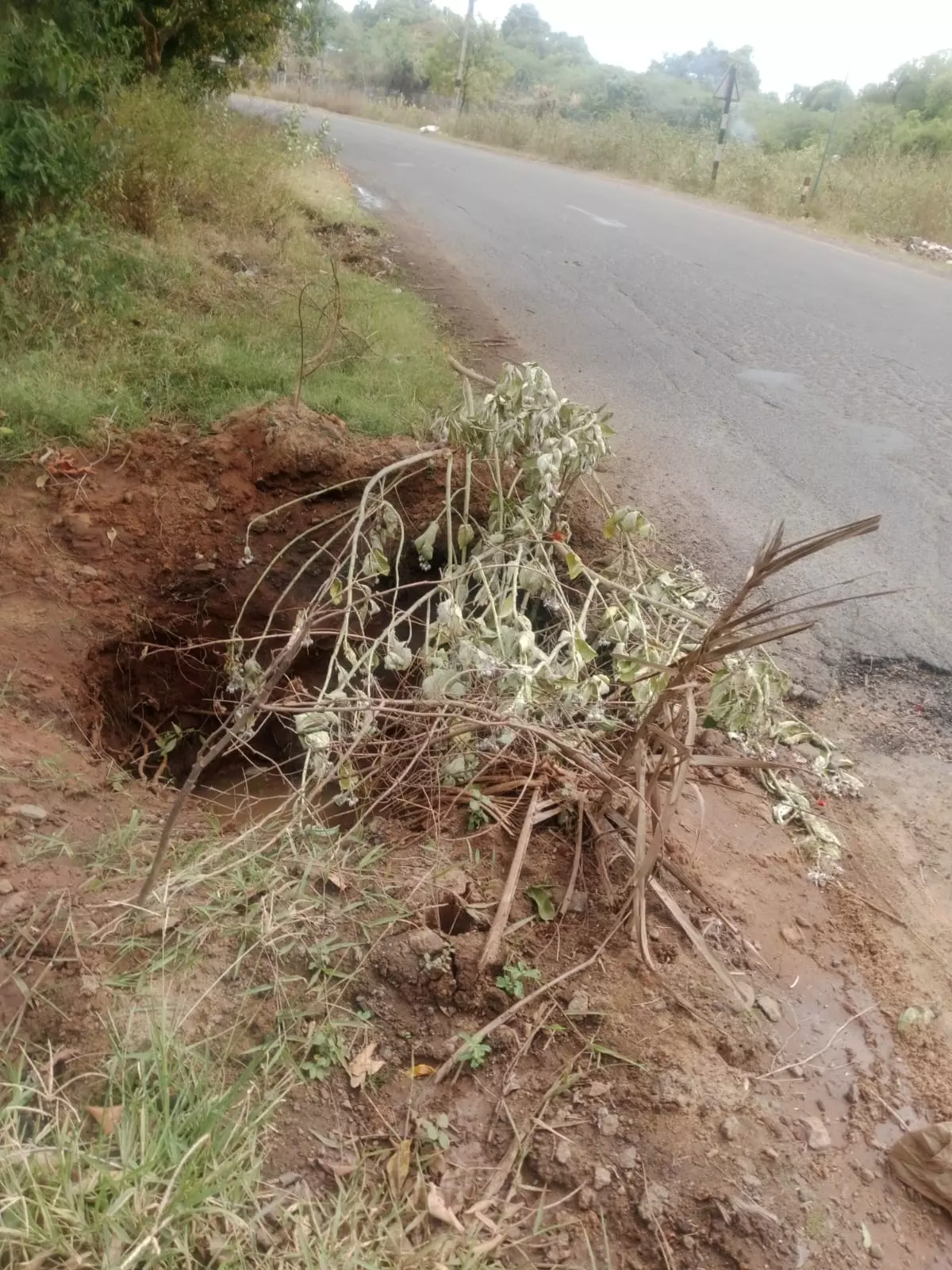 ஆபத்தான பள்ளம் மூடப்படுமா