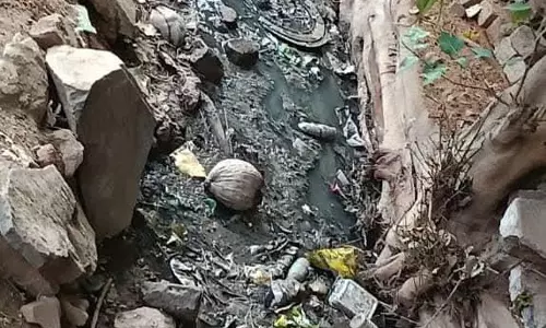 கால்வாயில் தேங்கும் கழிவுநீர்