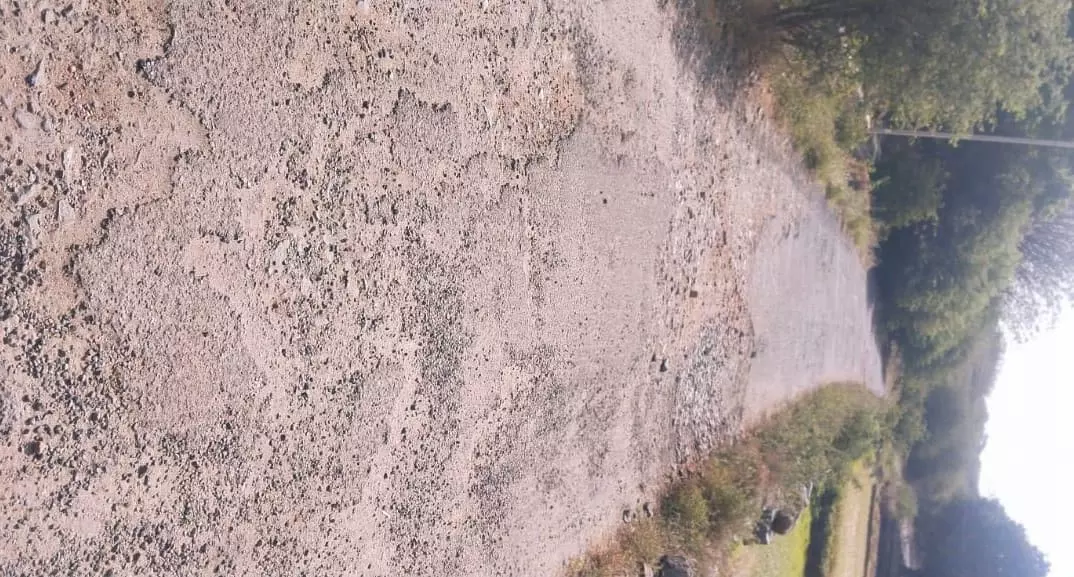 குண்டும், குழியுமான சாலை