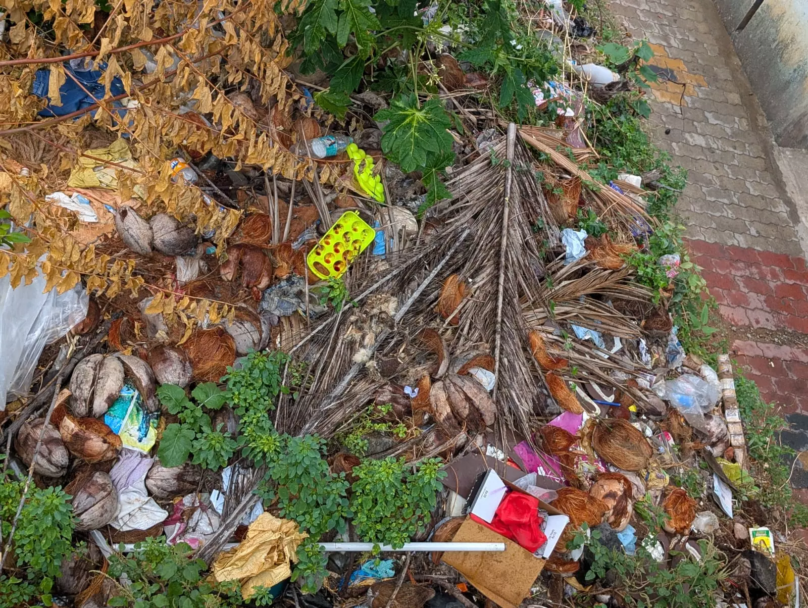 சுகாதார சீர்கேடு