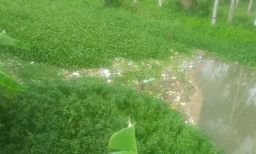 குப்பைகள் அகற்றப்படுமா? குப்பைகள் அகற்றப்படுமா?