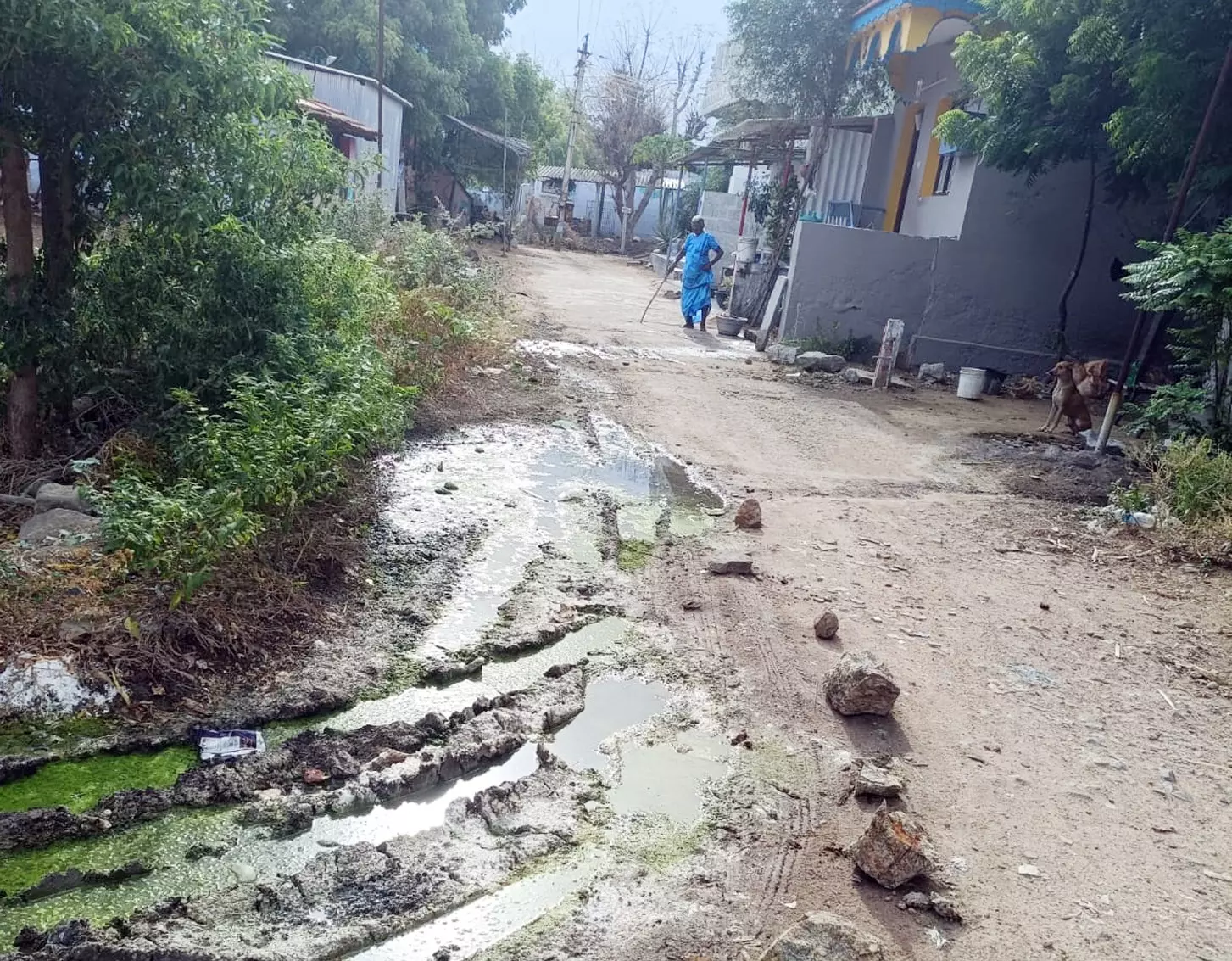 தெருவில் தேங்கும் கழிவுநீர்