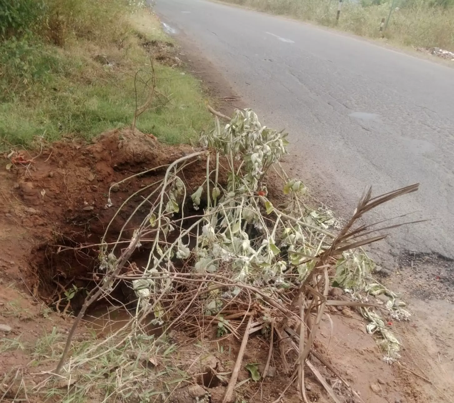 சாலையோர ஆபத்தான பள்ளம்