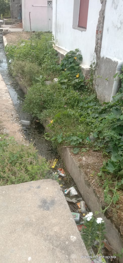 கால்வாய்கள் சுத்தம் செய்யப்படுமா? கால்வாய்கள் சுத்தம் செய்யப்படுமா?