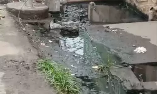 சுகாதார சீர்கேடு...