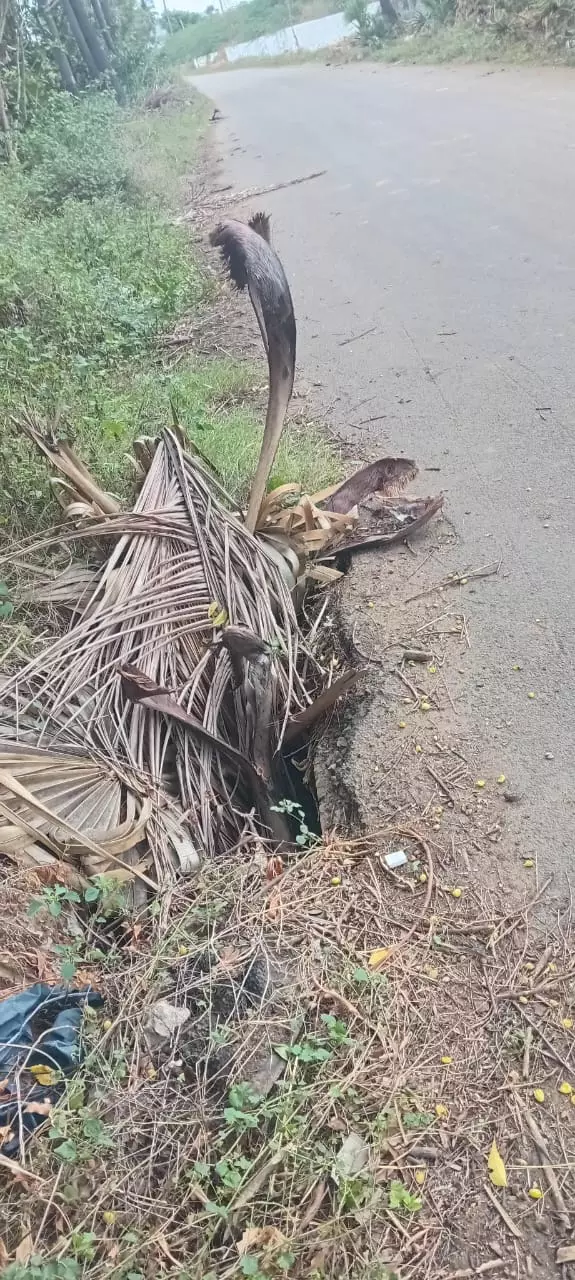 குடிநீர் குழாய் வால்வு தொட்டிக்கு மூடி தேவை குடிநீர் குழாய் வால்வு தொட்டிக்கு மூடி தேவை