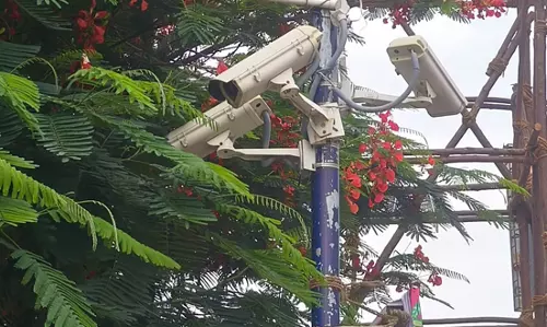 கேமராக்களை மறைக்கும் மரக்கிளைகள் கேமராக்களை மறைக்கும் மரக்கிளைகள்