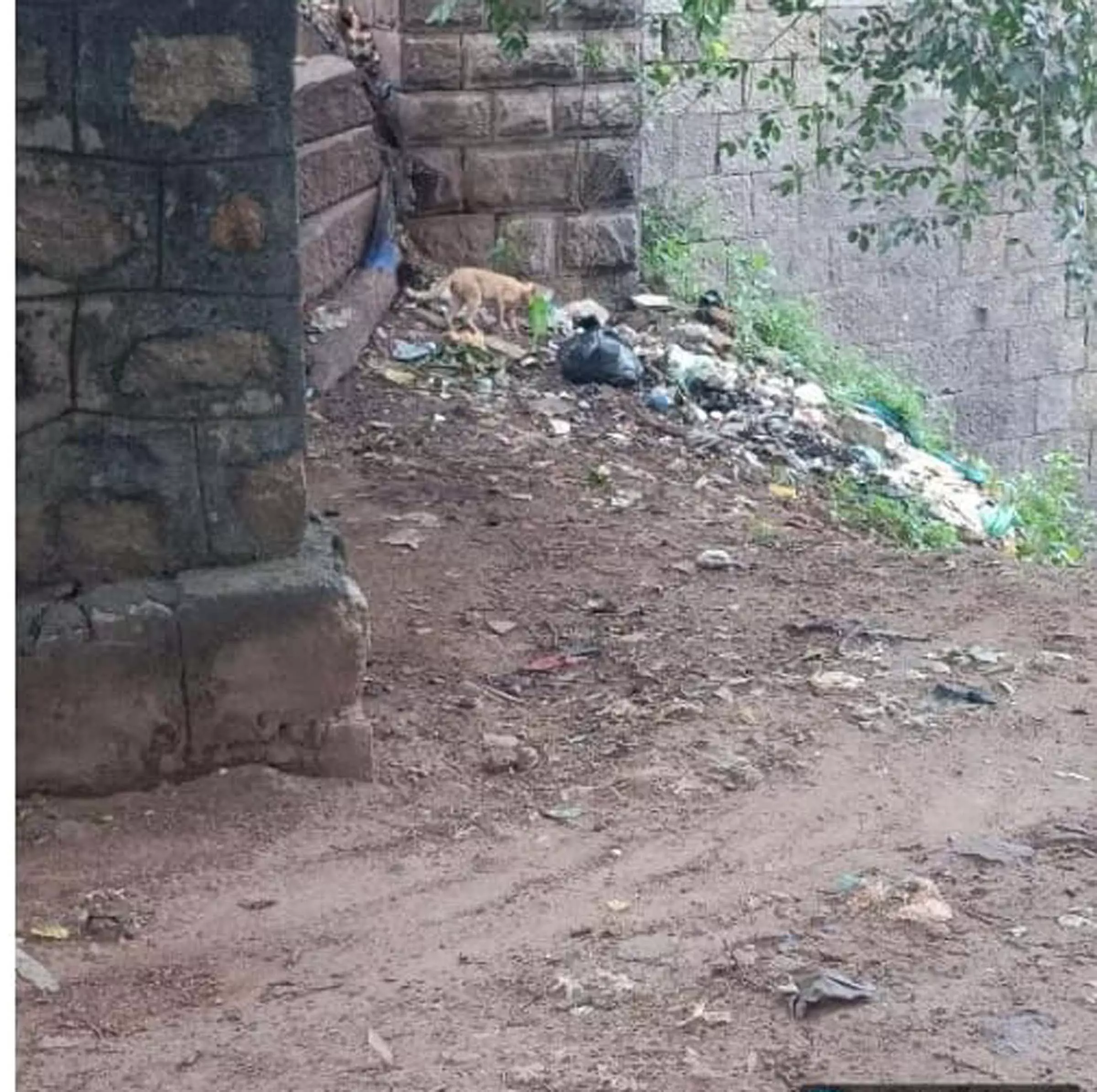 சுகாதார சீர்கேடு சுகாதார சீர்கேடு