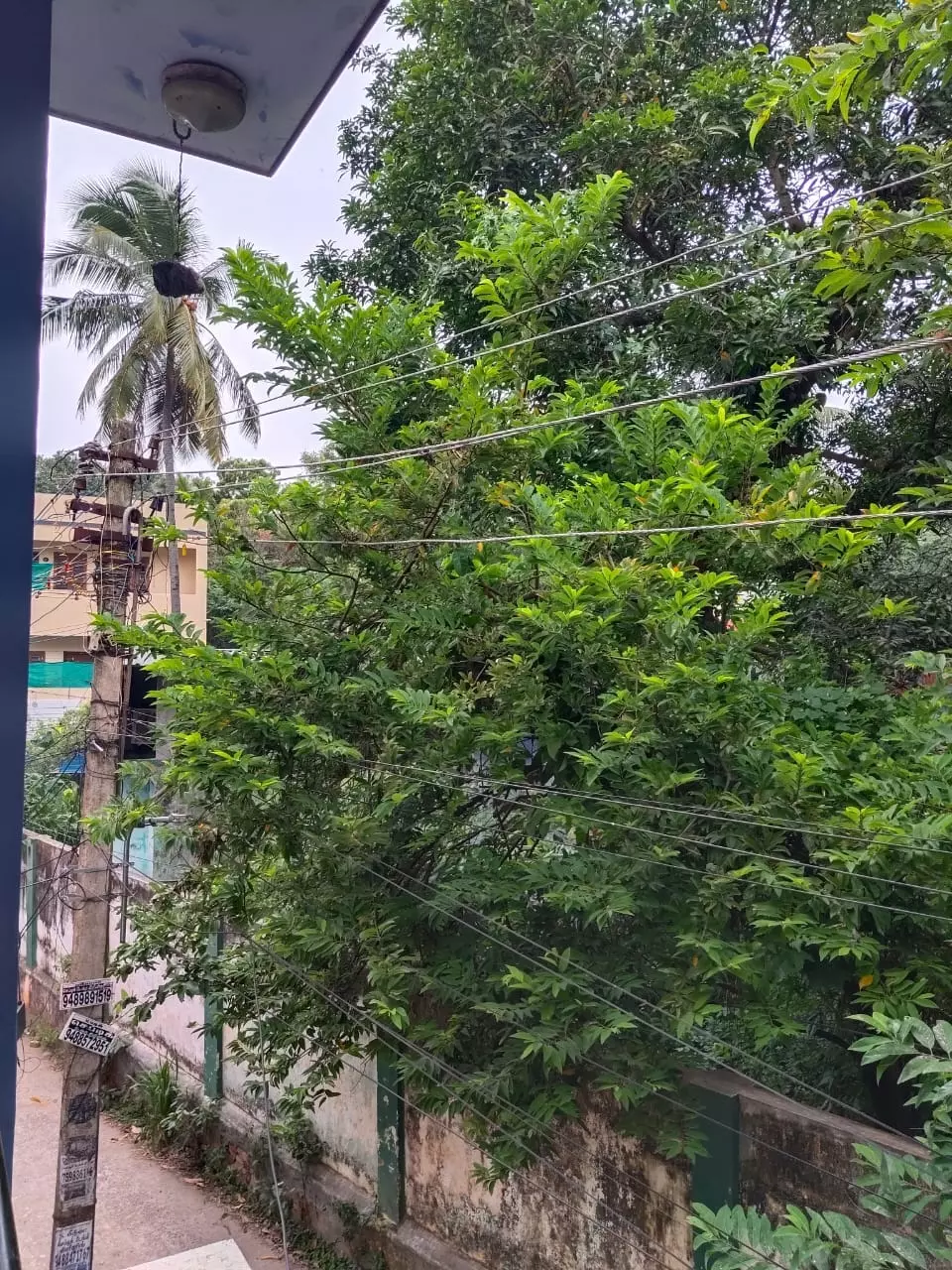 நடவடிக்கை எடுக்க வேண்டும் நடவடிக்கை எடுக்க வேண்டும்