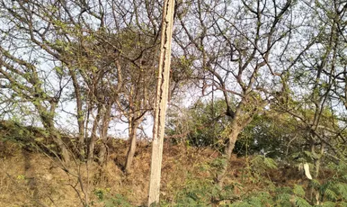 பழுதடைந்த மின்கம்பம் பழுதடைந்த மின்கம்பம்