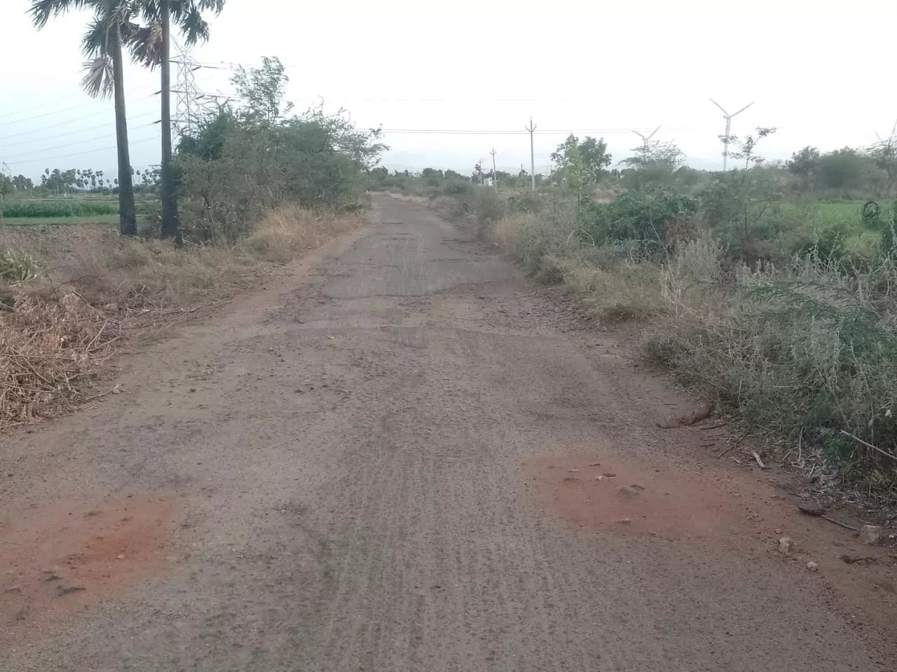 குண்டும் குழியுமான சாலை குண்டும் குழியுமான சாலை