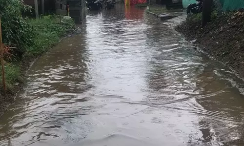 சாலை, கால்வாய் வசதி