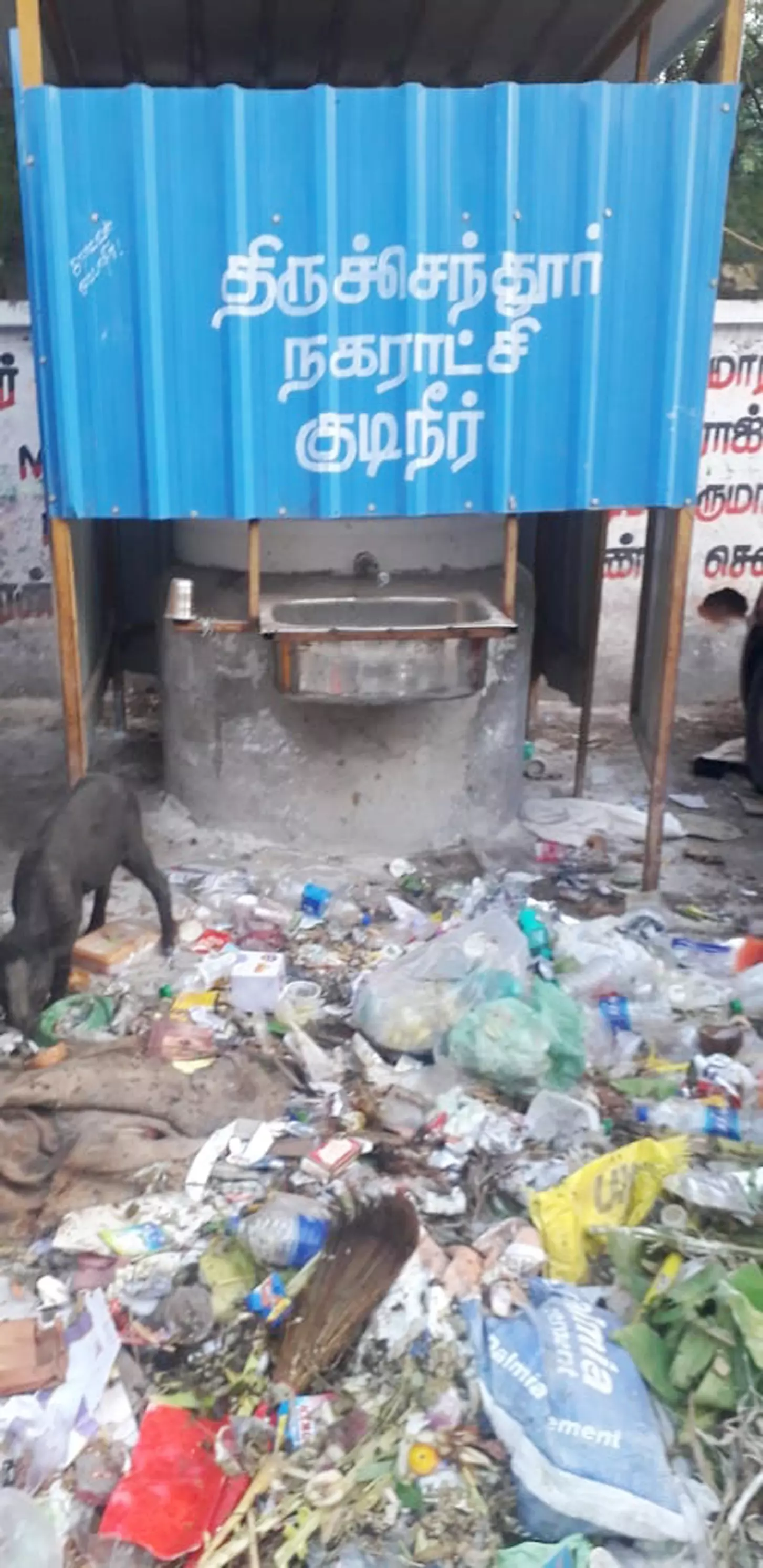 சுகாதாரக்கேடு சுகாதாரக்கேடு