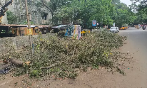 சாலையை ஆக்கிரமிக்கும் மரக்கழிவுகள்