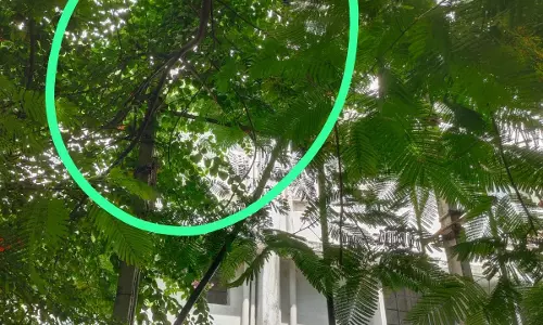 மின்சாரவாரியம் நடவடிக்கை எடுக்குமா?