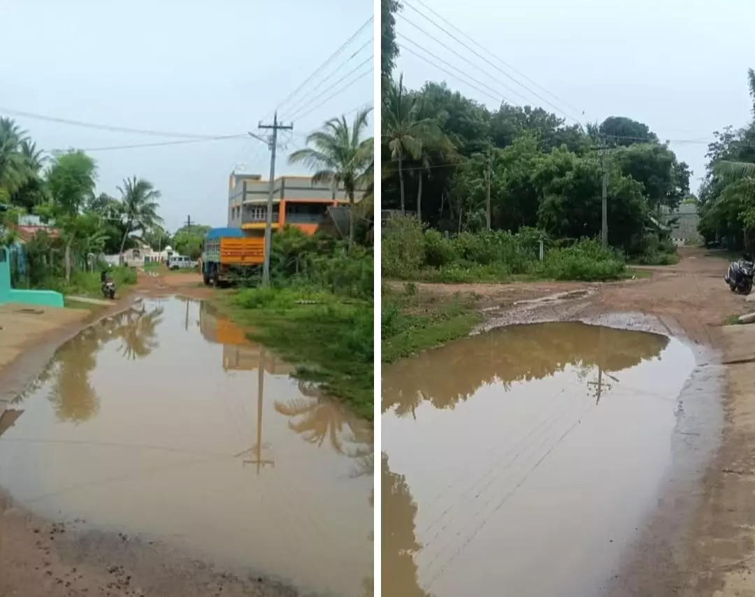 தார்சாலை அமைக்க கோரிக்கை தார்சாலை அமைக்க கோரிக்கை