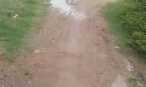 தார்சாலை அமைக்கப்படுமா?