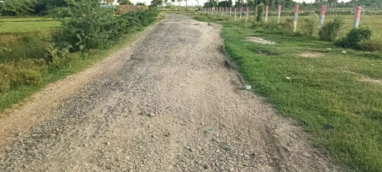 ஜல்லிகள் பெயர்ந்த சாலை ஜல்லிகள் பெயர்ந்த சாலை