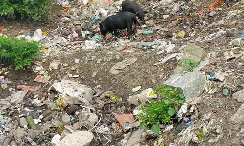 கால்வாயை தூர்வார வேண்டும்