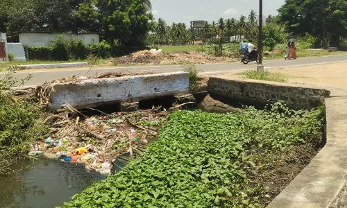 வாய்க்காலை ஆக்கிரமித்துள்ள ஆகாயத்தாமரை