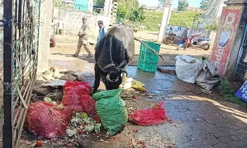 சுகாதார சீர்கேடு