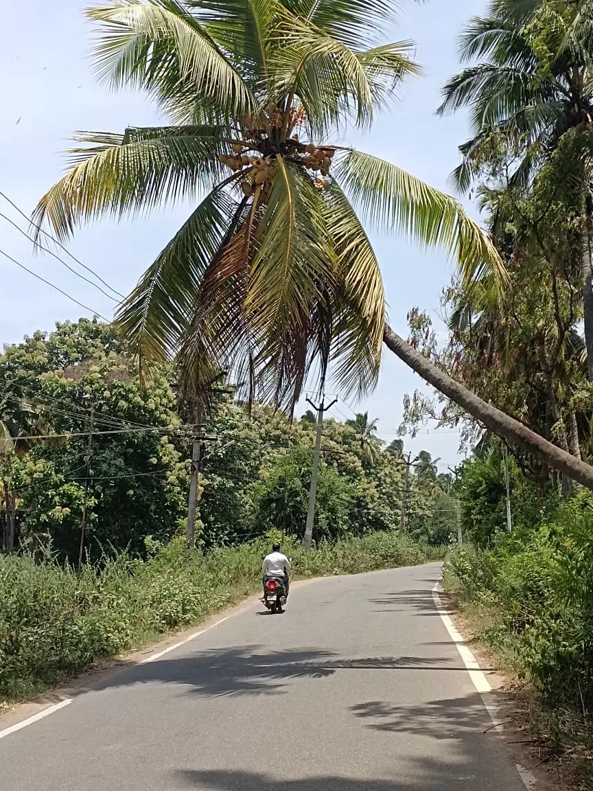 விபத்து அபாயம் விபத்து அபாயம்