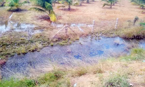 குழாய் உடைப்பால் வீணாகும் குடிநீர் குழாய் உடைப்பால் வீணாகும் குடிநீர்