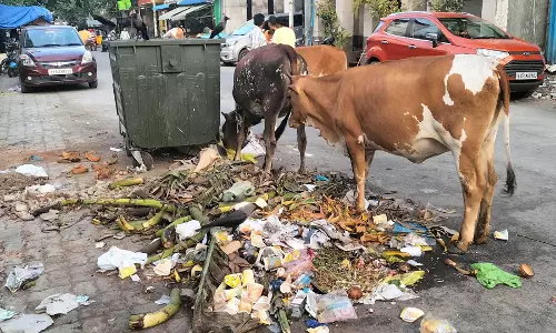 குவிந்து கிடக்கும் குப்பைகள்