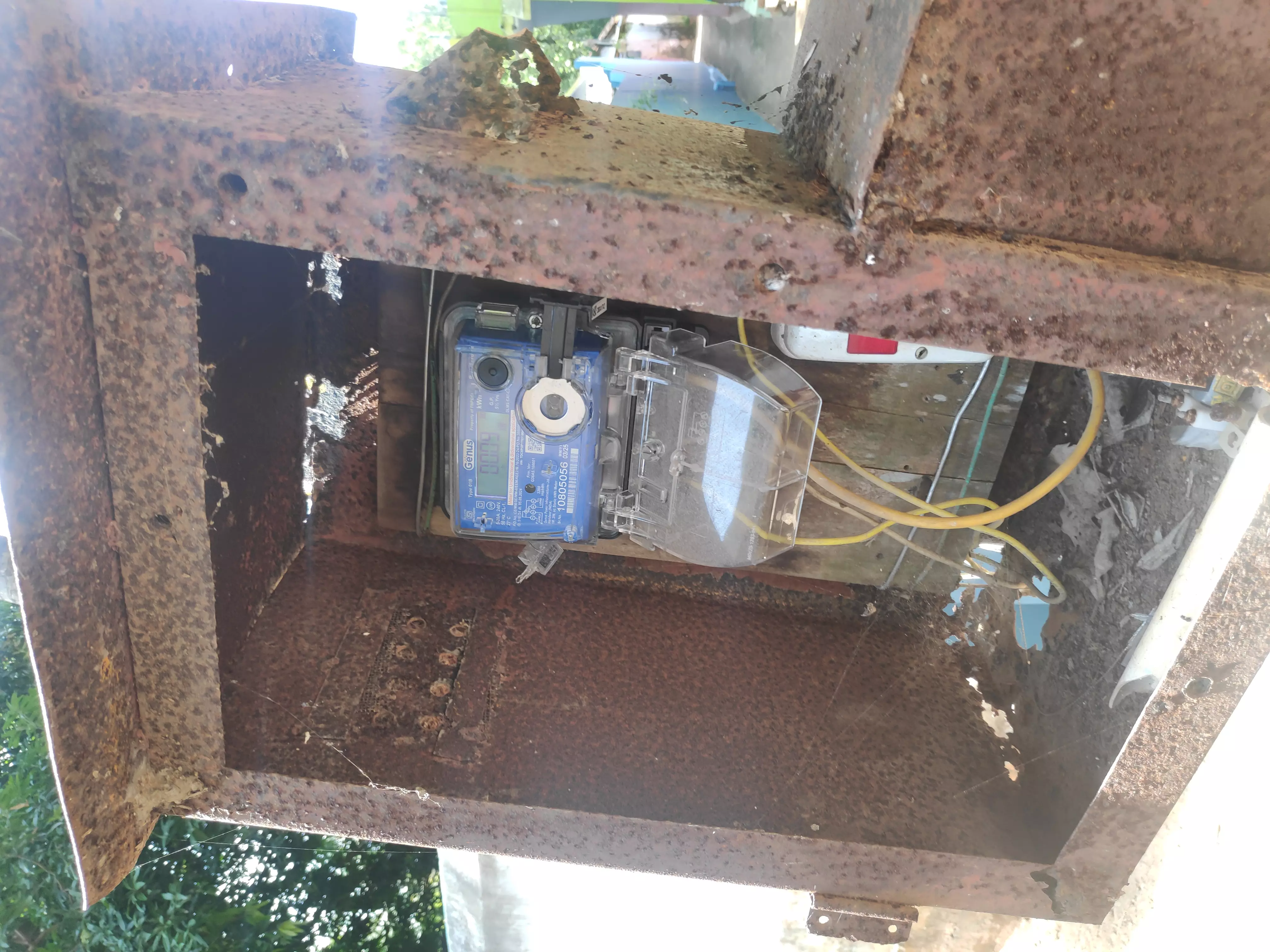 நடவடிக்கை எடுக்கப்படுமா? நடவடிக்கை எடுக்கப்படுமா?