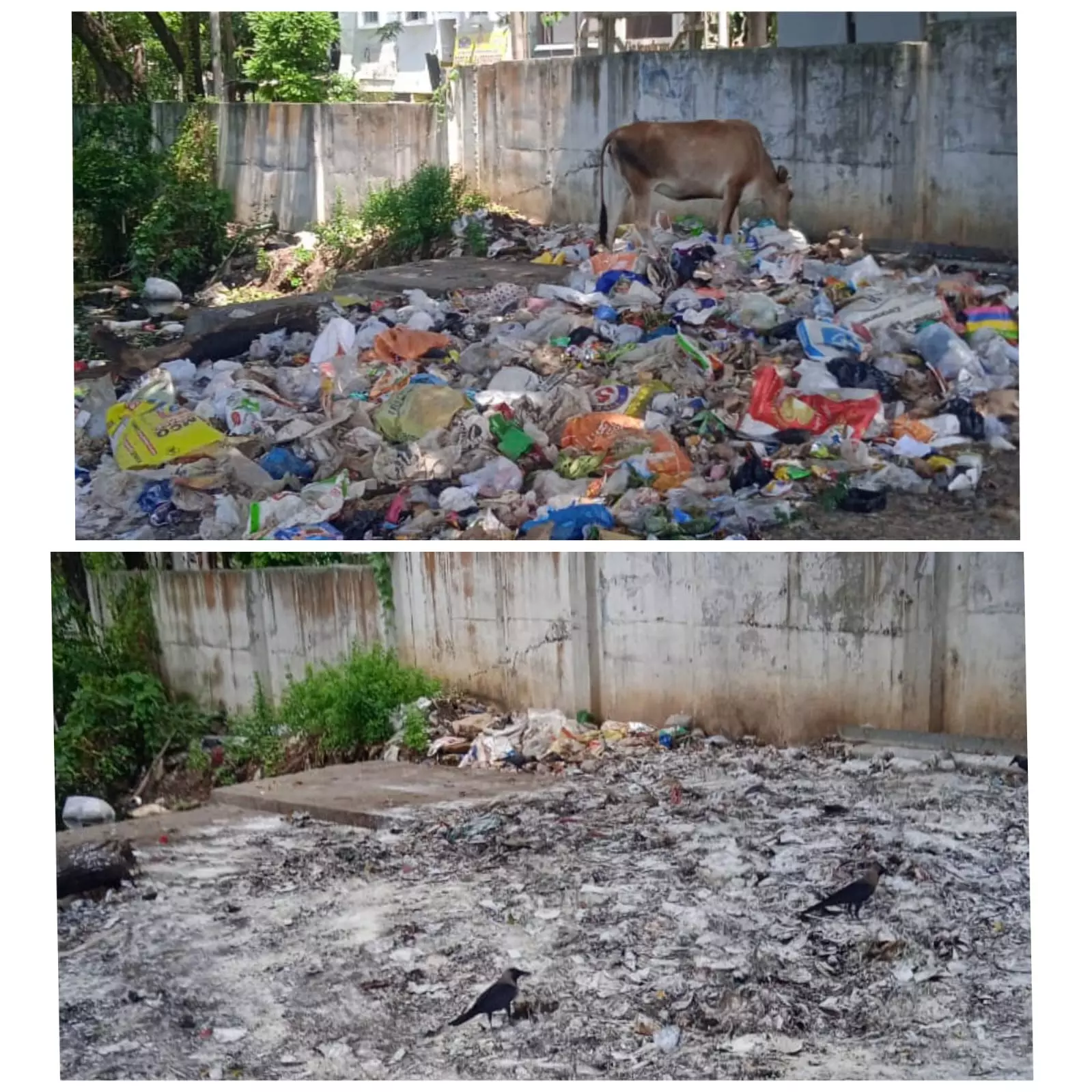 புகார் எதிரொலி புகார் எதிரொலி