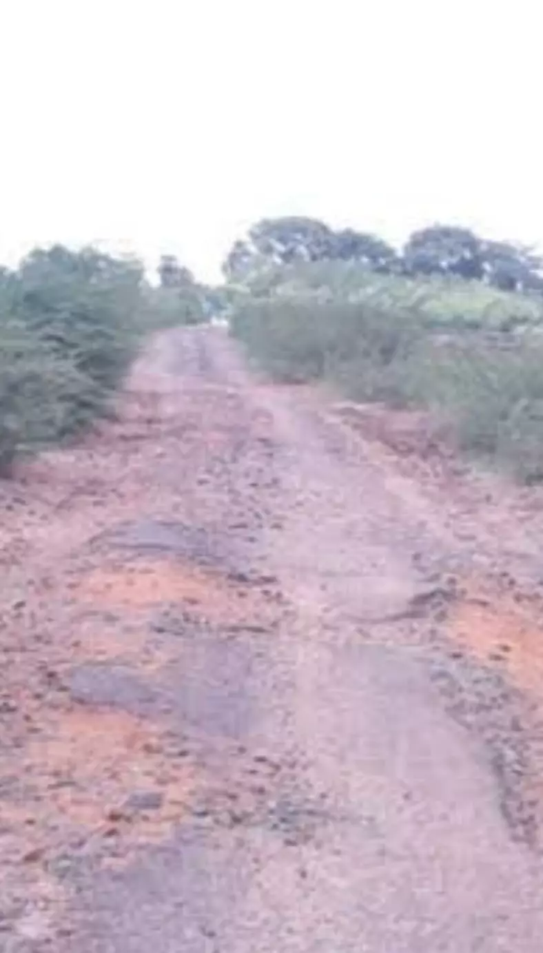 சாலை சீர்செய்யப்படுமா?