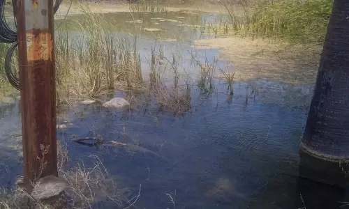 குழாய் உடைப்பால் வீணாகும் குடிநீர்
