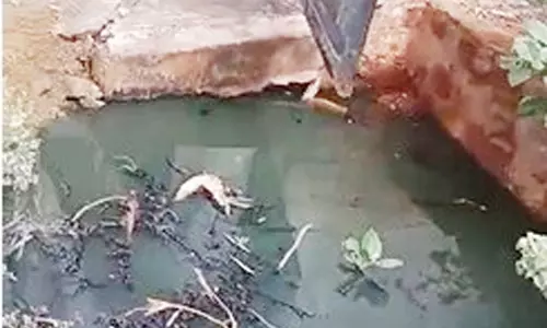 சுகாதாரக்கேடு