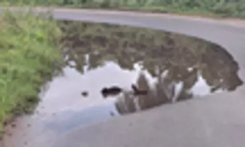 சீரமைக்க வேண்டும்