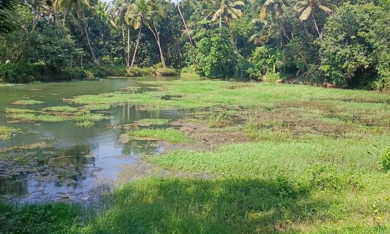 குளத்தை தூர்வார வேண்டும் குளத்தை தூர்வார வேண்டும்