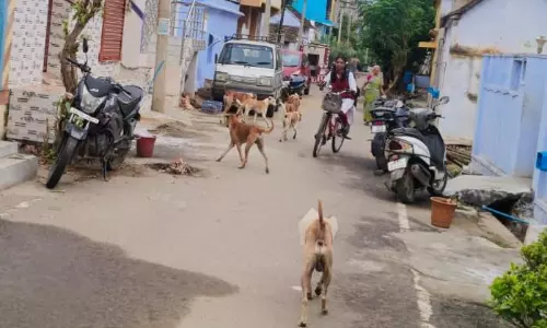 போக்குவரத்துக்கு இடையூறு போக்குவரத்துக்கு இடையூறு
