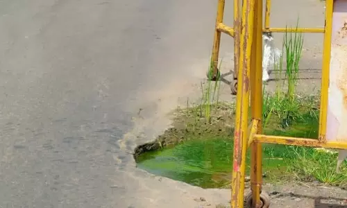 குடிநீர் குழாயில் உடைப்பு