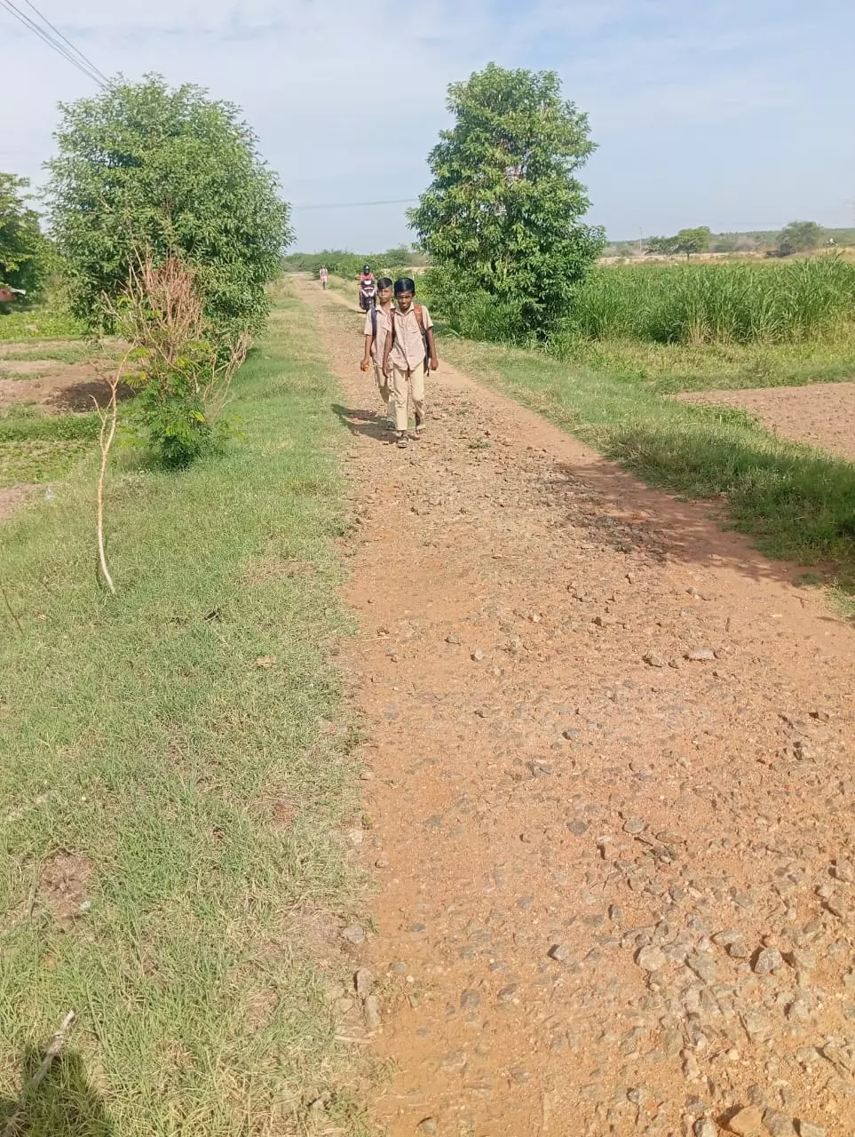 மாணவர்கள் சிரமம் மாணவர்கள் சிரமம்