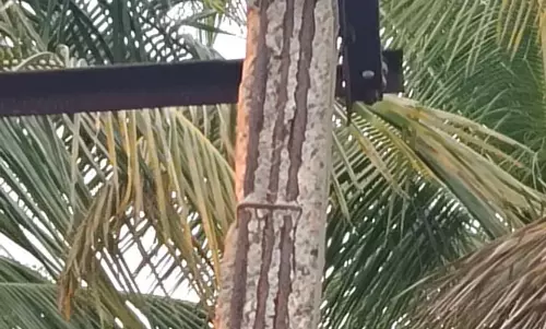 ஆபத்தான நிலையில் மின்மாற்றி ஆபத்தான நிலையில் மின்மாற்றி