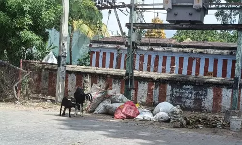 குப்பைகள் அகற்றப்படுமா? குப்பைகள் அகற்றப்படுமா?