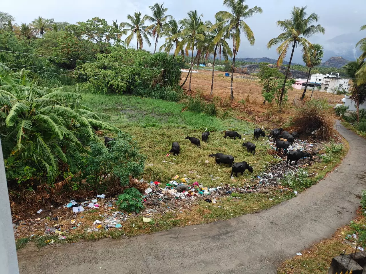 குளத்தை தூர்வார வேண்டும்