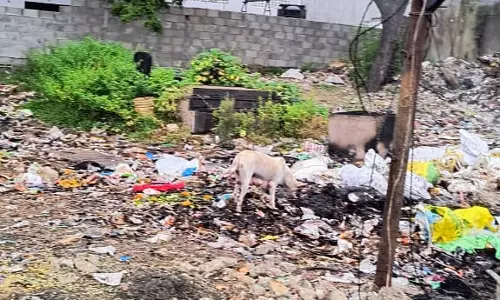 தொற்று நோய் பரவும் அபாயம் தொற்று நோய் பரவும் அபாயம்