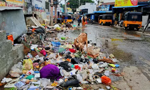 சாலையோரம் வீசப்படும் குப்பைகள்