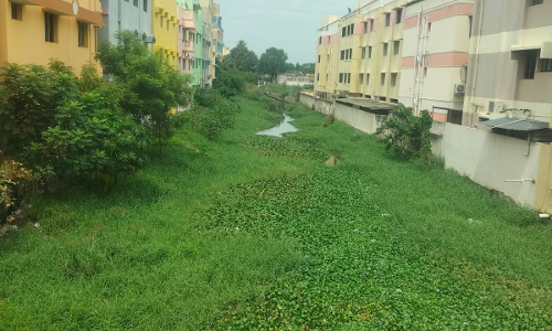 கொசுத்தொல்லை கொசுத்தொல்லை