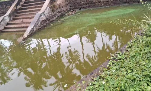 தூர்வார வேண்டும் தூர்வார வேண்டும்