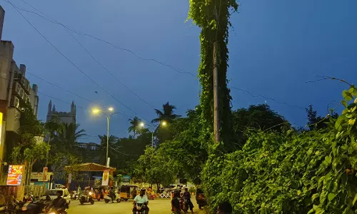 உடனடி நடவடிக்கை வேண்டும் உடனடி நடவடிக்கை வேண்டும்